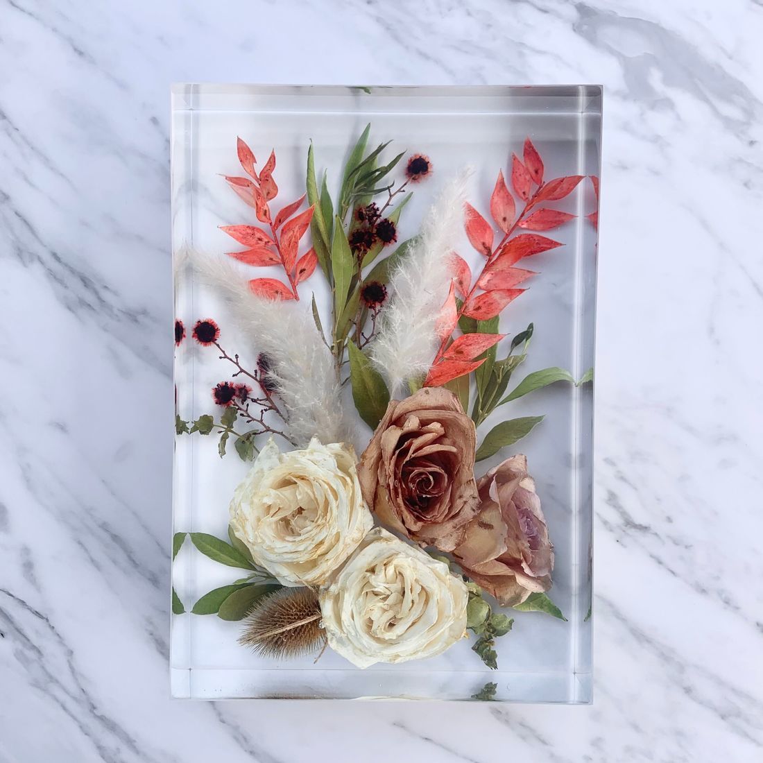 Floral Preservation Products & Pricing | Tayla May Creations